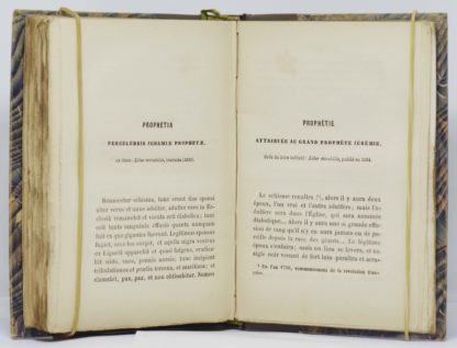 REMUSAT, Le livre de toutes les prophéties et prédictions. Passé – présent – Avenir. Cinquième édition, contenant la prédiction d’Orval, la lettre sur la proximité de la fin du monde, par M. le chanoine Remusat. 1861Et la prière indulgentiée de Pie IX. – Image 4