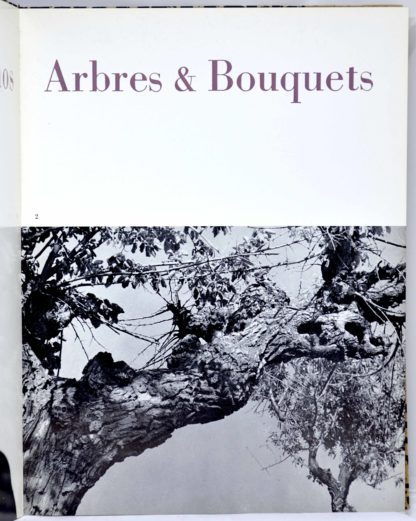 PRASSINOS. Mario Prassinos. Arbres et Bouquets. 1960 – Image 3