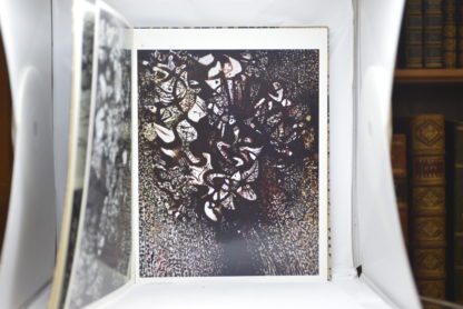 PRASSINOS. Mario Prassinos. Arbres et Bouquets. 1960 – Image 4