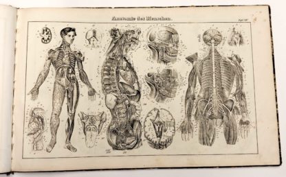 UNIVERSAL LEXIKON, ATLAS DER ABBILDUNGEN zu PIERERS UNIVERSAL-LEXIKON zweiter Auflage. 1848 – Image 7