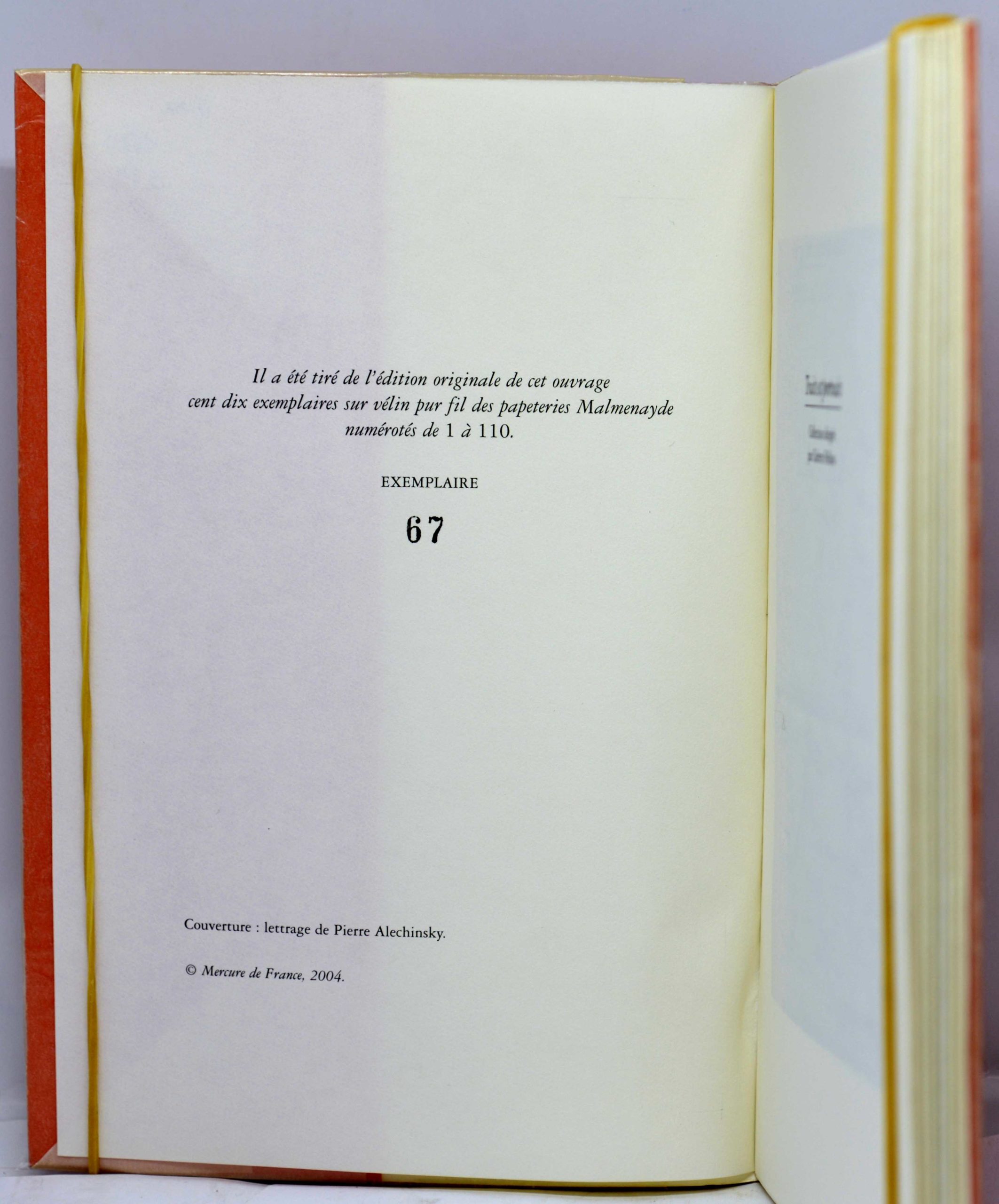 LE CLÉZIO, L'AFRICAIN, 2004 – Image 2