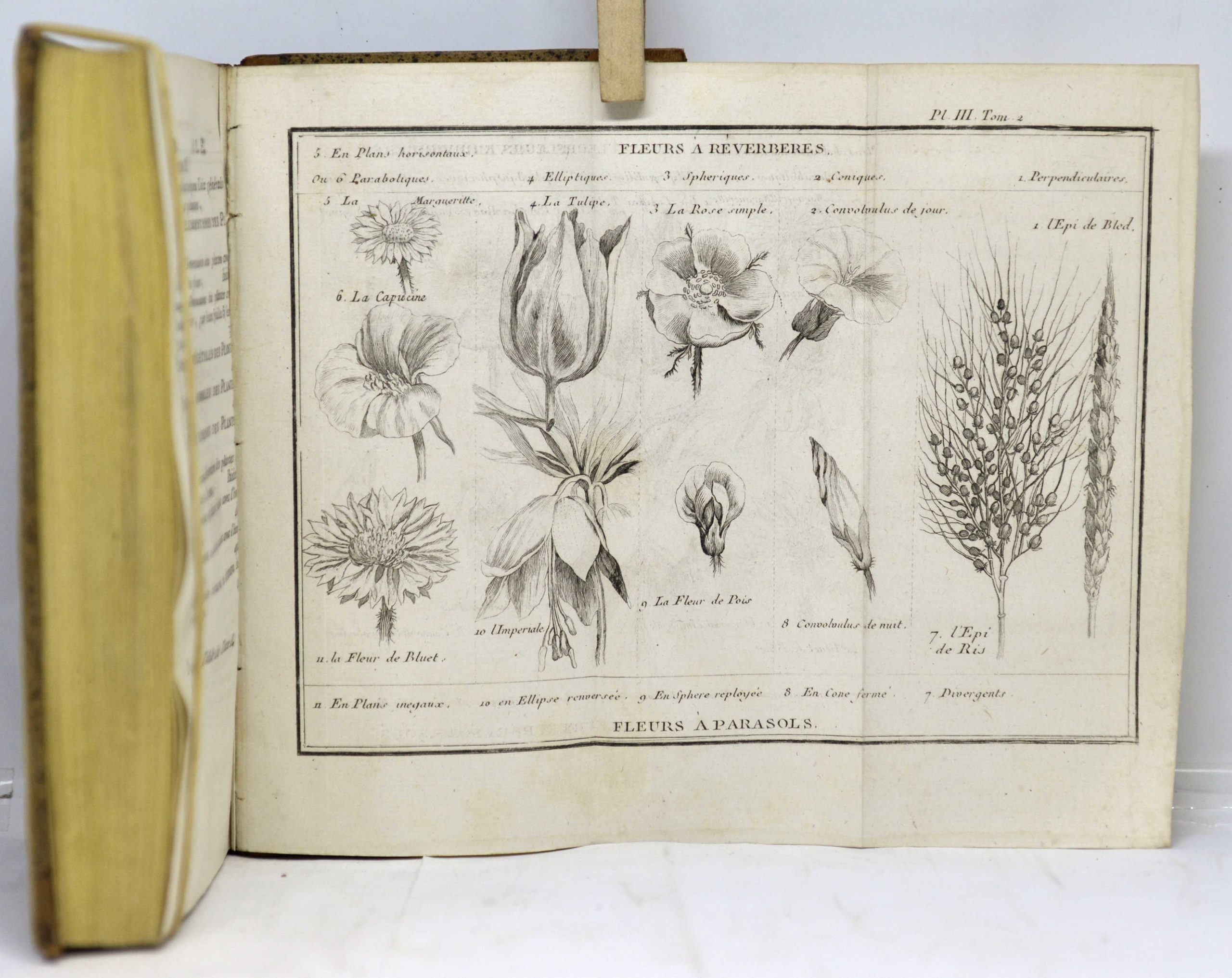 SAINT-PIERRE, Études de la nature, 1784 – Image 6