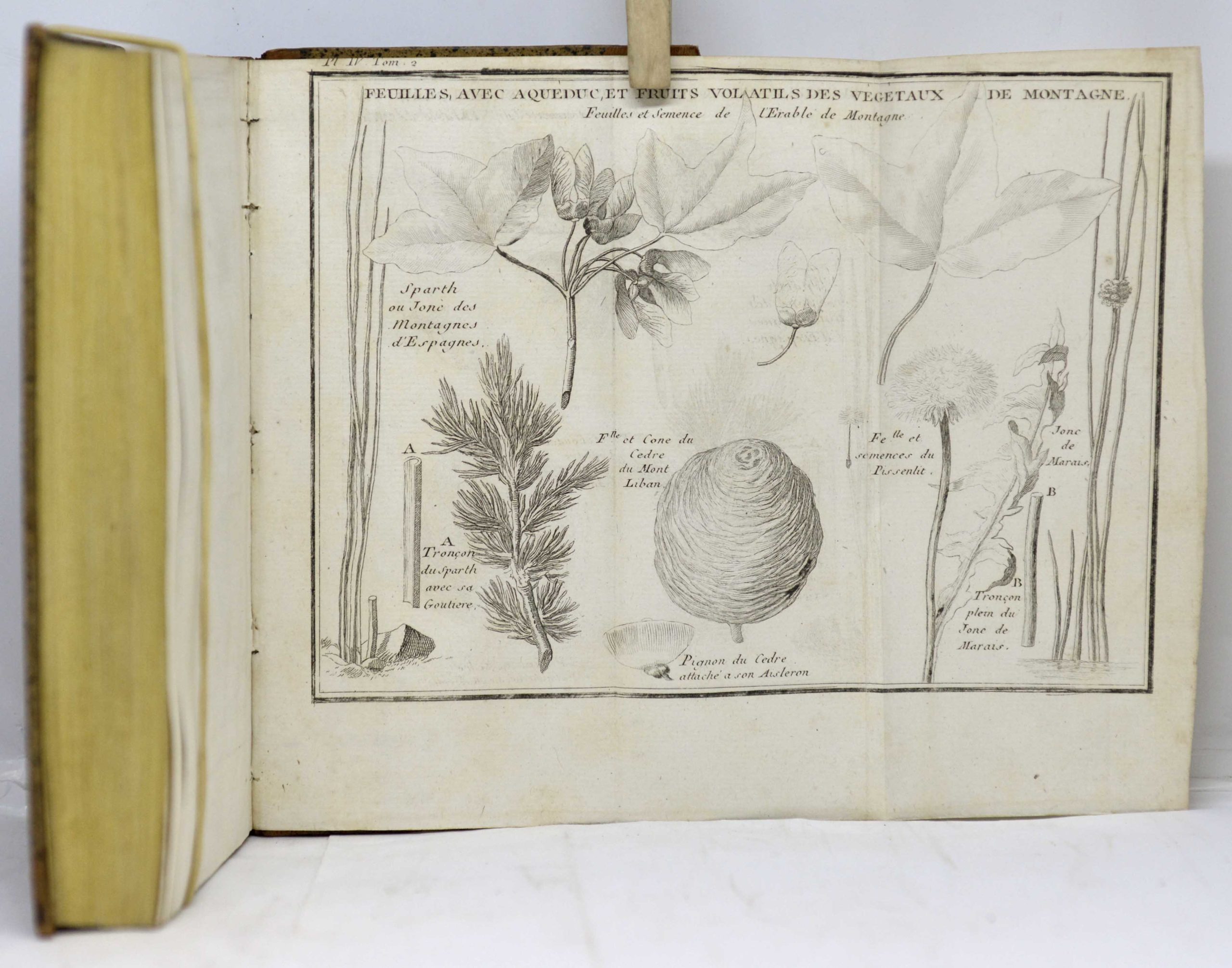 SAINT-PIERRE, Études de la nature, 1784 – Image 7