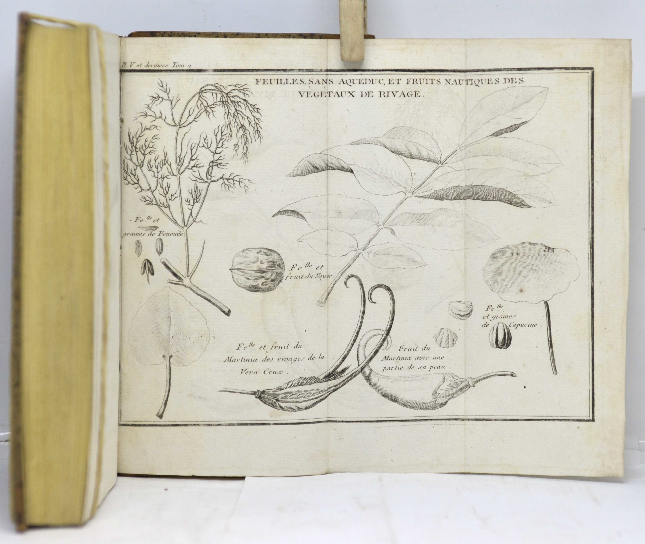 SAINT-PIERRE, Études de la nature, 1784 – Image 8