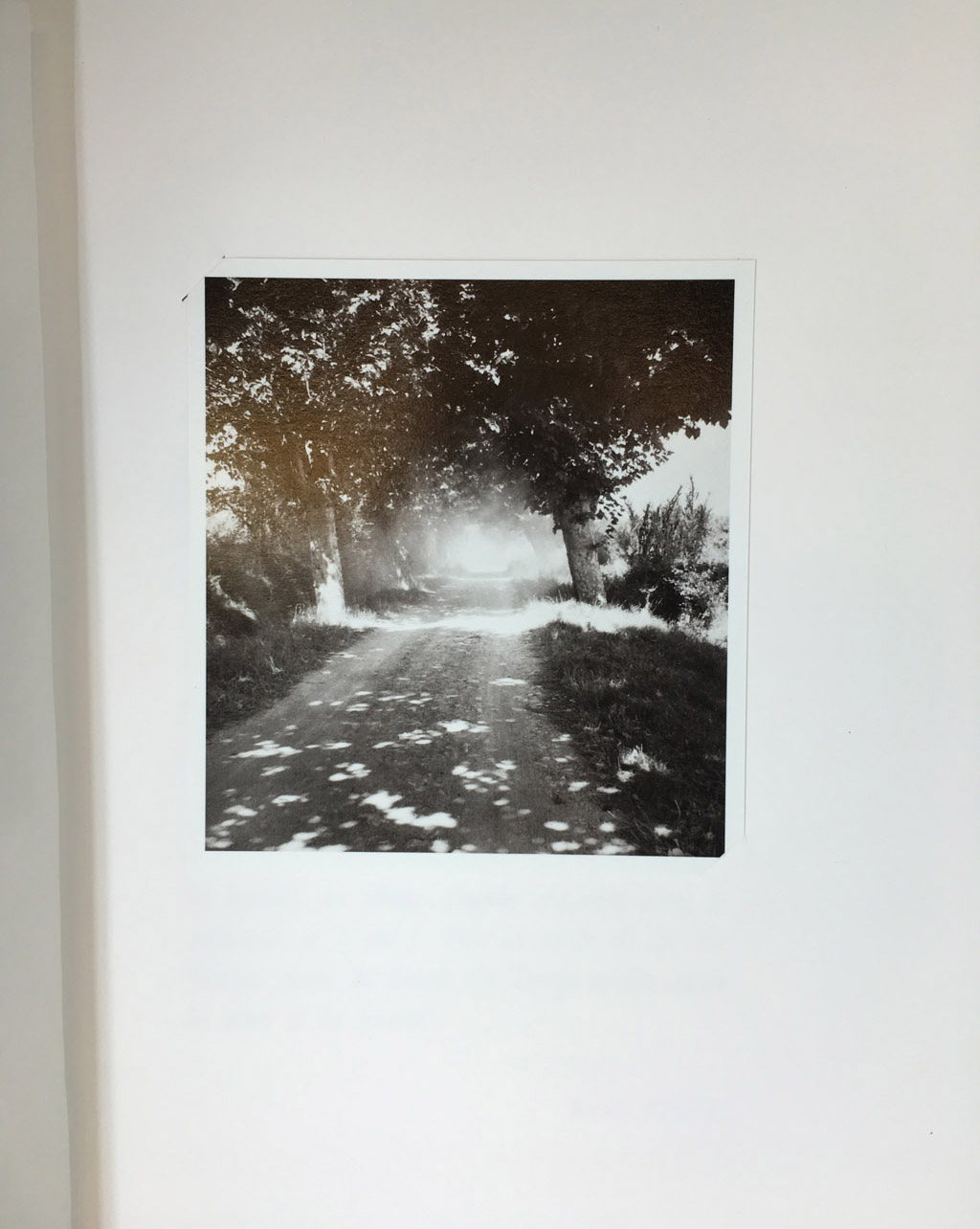 CAMUS / CHAR / GRINDAT (ill.), LA POSTÉRITÉ DU SOLEIL. Photographies de Henriette Grindat. Itinéraire par René Char. 2009 – Image 3